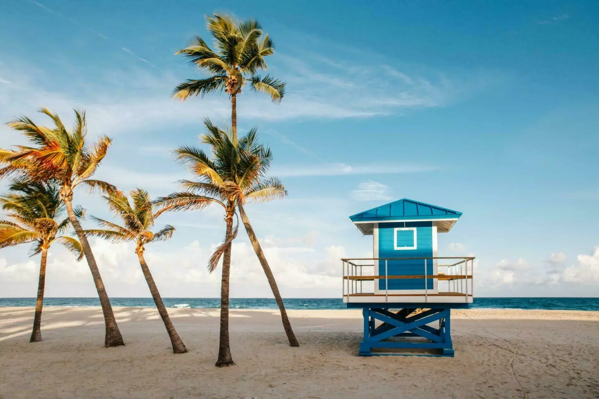 Visiter la floride plage palmier jpg